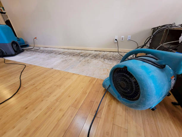 Reliable Storm Water Damage Restoration contractor in Twin Bridges, CA by Hirex Water Damage
