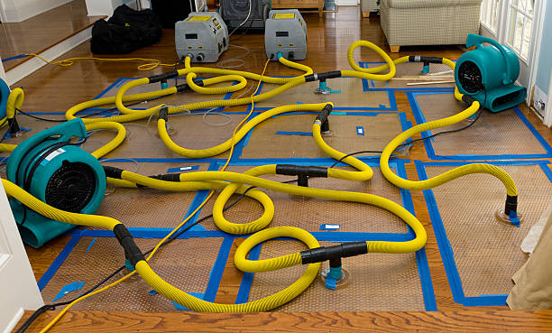 Professional Storm Water Damage Restoration technician working in Twin Bridges, CA